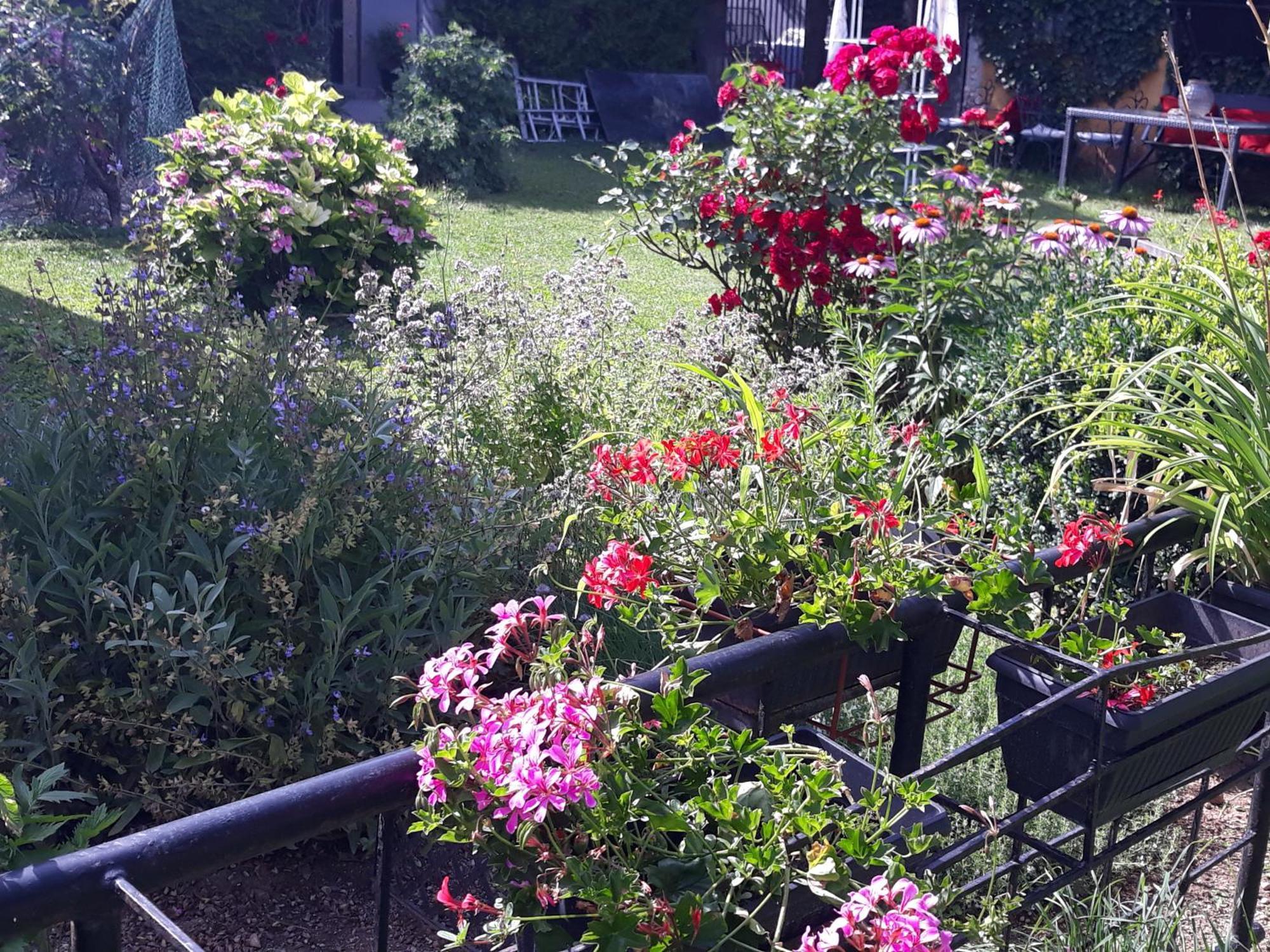Rose Room 40M2 With Terrace 25M2 In Greeny Area For 4 Person Λιουμπλιάνα Εξωτερικό φωτογραφία