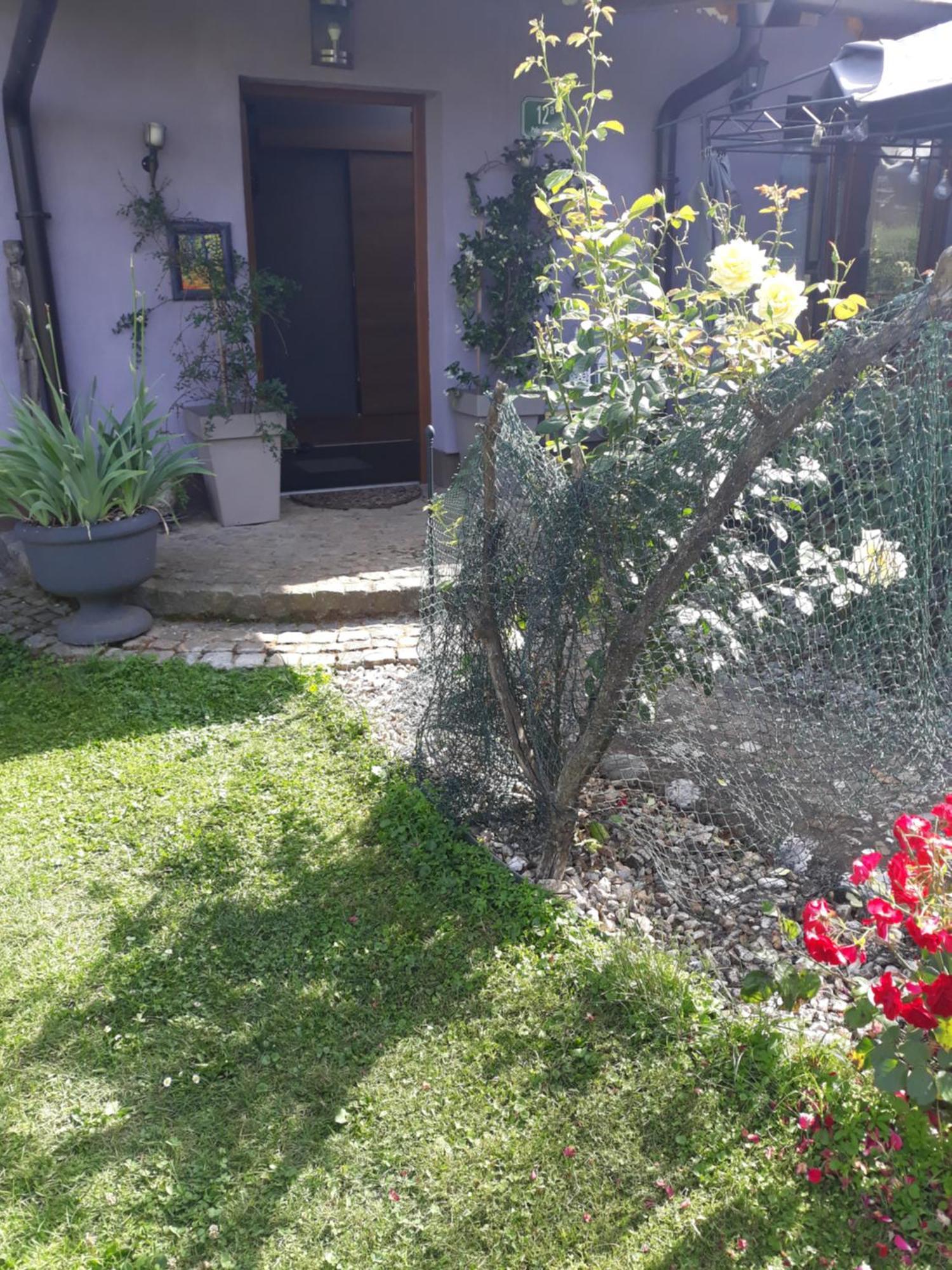 Rose Room 40M2 With Terrace 25M2 In Greeny Area For 4 Person Λιουμπλιάνα Εξωτερικό φωτογραφία