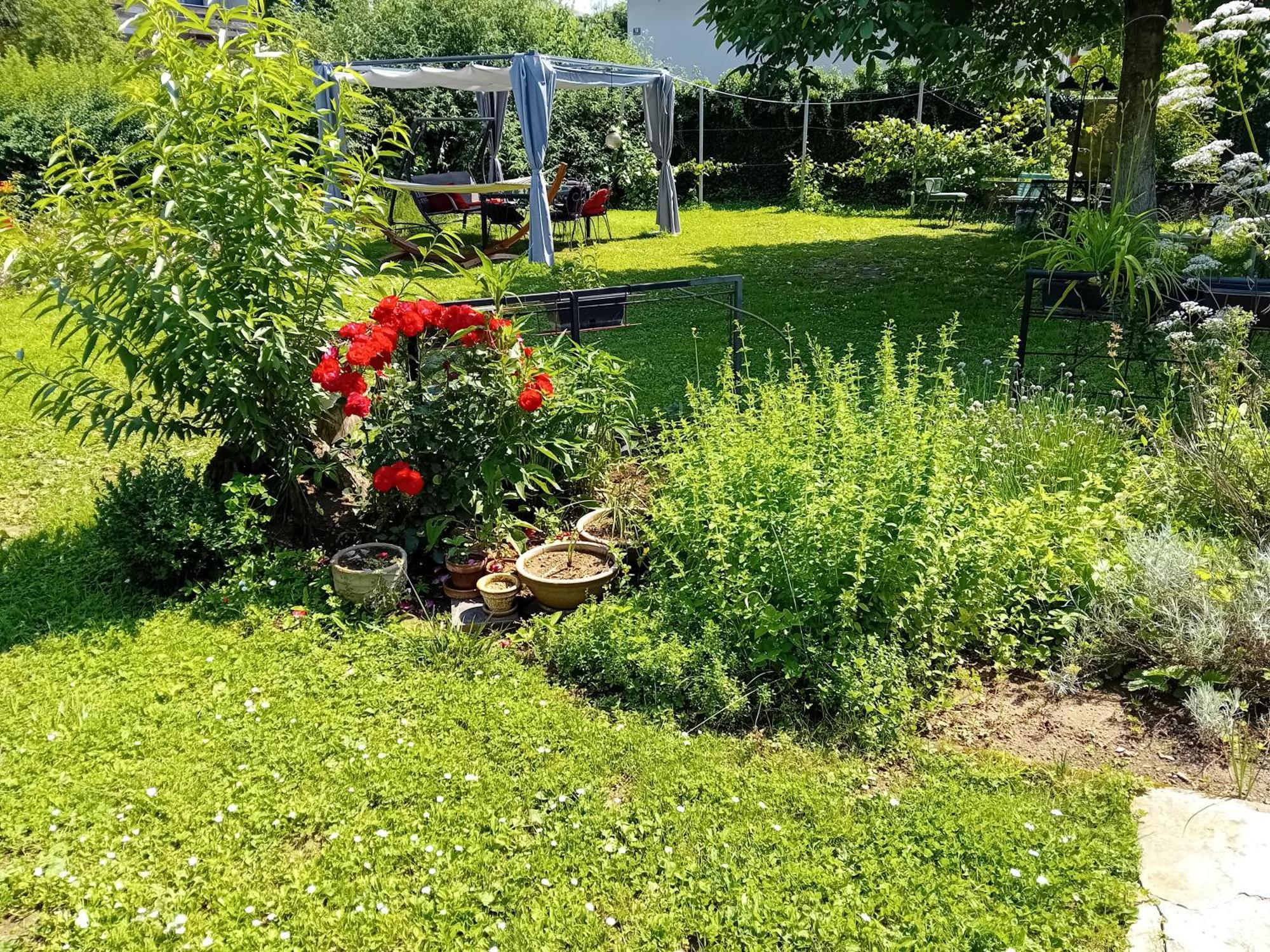 Rose Room 40M2 With Terrace 25M2 In Greeny Area For 4 Person Λιουμπλιάνα Εξωτερικό φωτογραφία
