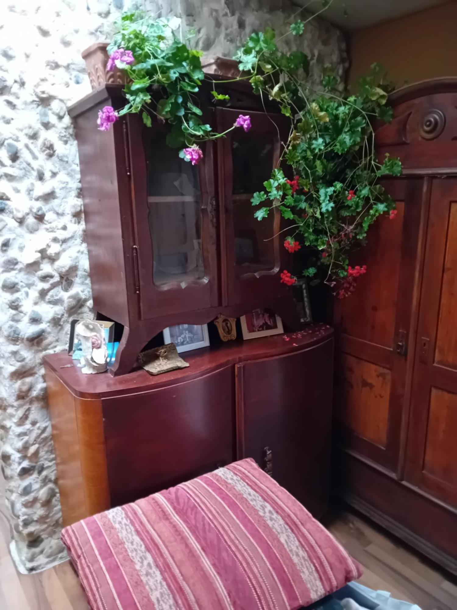 Rose Room 40M2 With Terrace 25M2 In Greeny Area For 4 Person Λιουμπλιάνα Εξωτερικό φωτογραφία