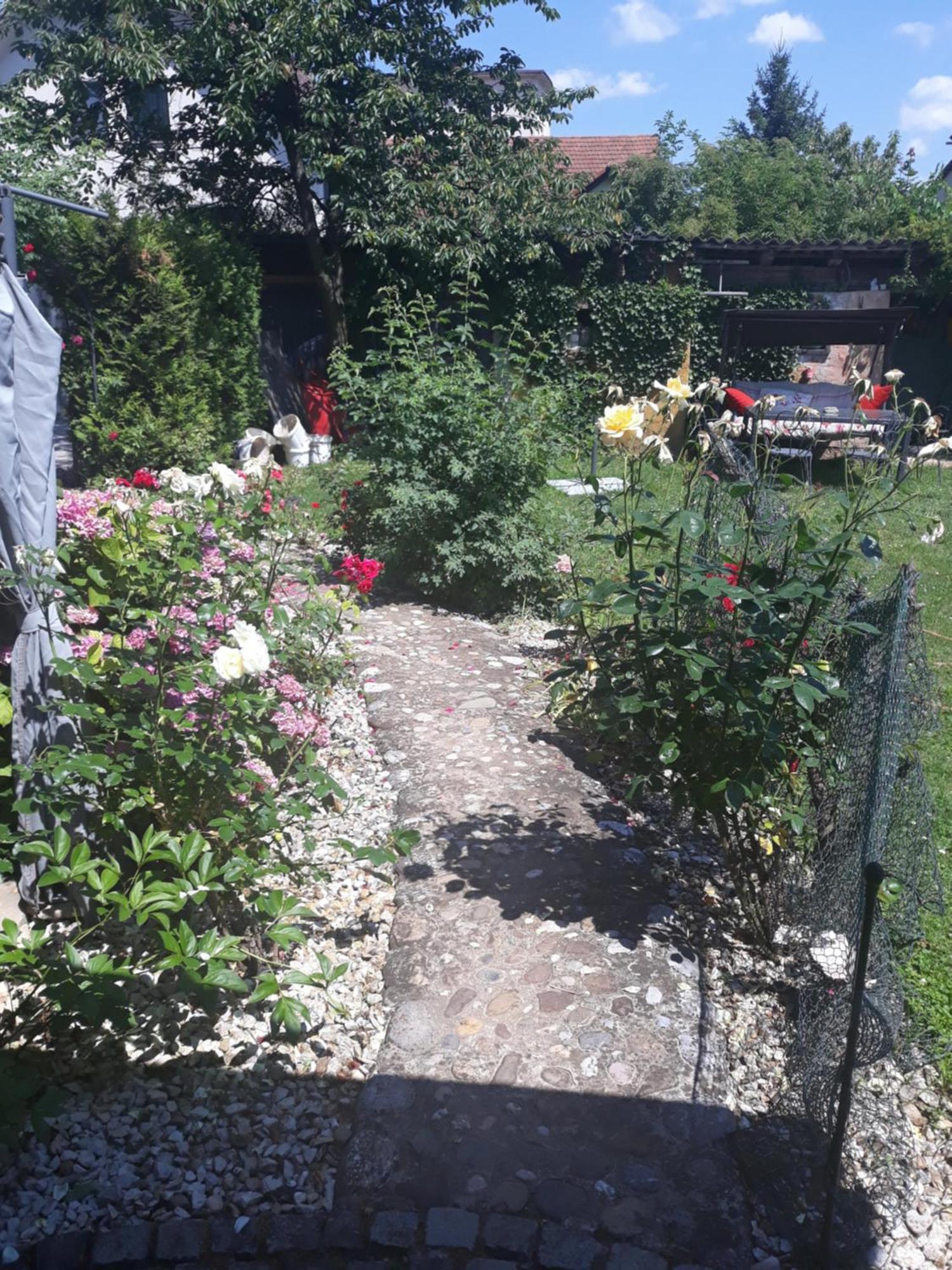 Rose Room 40M2 With Terrace 25M2 In Greeny Area For 4 Person Λιουμπλιάνα Εξωτερικό φωτογραφία